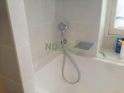 Bec cascade avec douchette Rainshower Grohe